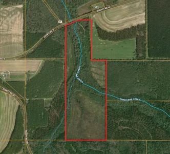 105ac Hunting Land South of Hartford Alabama w/ Hurricane Creek - image 4