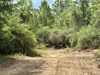 105ac Hunting Land South of Hartford Alabama w/ Hurricane Creek - image 34