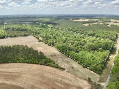 105ac Hunting Land South of Hartford Alabama w/ Hurricane Creek - image 30