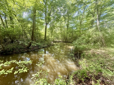 105ac Hunting Land South of Hartford Alabama w/ Hurricane Creek - image 23