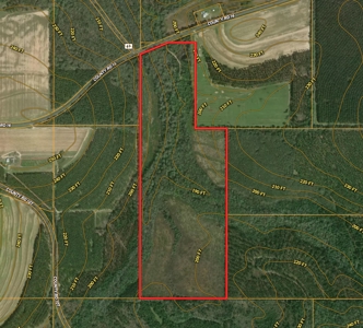 105ac Hunting Land South of Hartford Alabama w/ Hurricane Creek - image 37