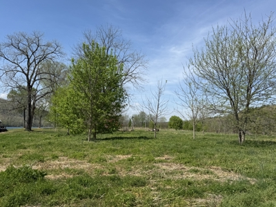 White River Lot near Batesville Arkansas in a Rural Setting - image 21