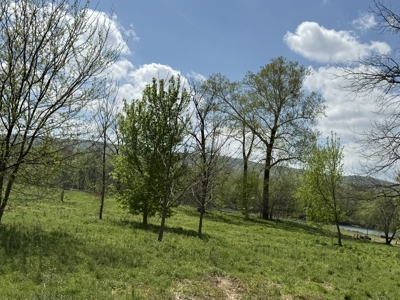 White River Lot near Batesville Arkansas in a Rural Setting - image 38