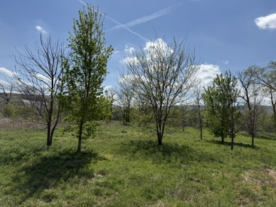 White River Lot near Batesville Arkansas in a Rural Setting - image 45