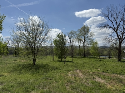 White River Lot near Batesville Arkansas in a Rural Setting - image 43