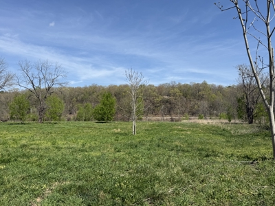 White River Lot near Batesville Arkansas in a Rural Setting - image 2
