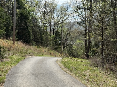 White River Lot near Batesville Arkansas in a Rural Setting - image 48