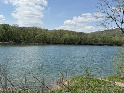 White River Lot near Batesville Arkansas in a Rural Setting - image 37