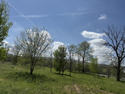 White River Lot near Batesville Arkansas in a Rural Setting - image 42