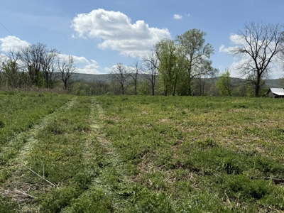 White River Lot near Batesville Arkansas in a Rural Setting - image 26