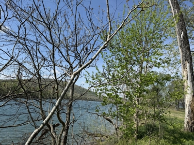 White River Lot near Batesville Arkansas in a Rural Setting - image 7