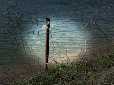 White River Lot near Batesville Arkansas in a Rural Setting - image 14