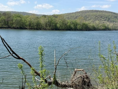 White River Lot near Batesville Arkansas in a Rural Setting - image 13