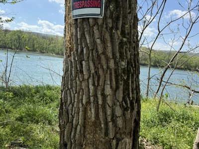 White River Lot near Batesville Arkansas in a Rural Setting - image 8