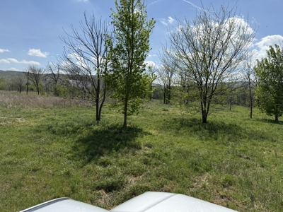 White River Lot near Batesville Arkansas in a Rural Setting - image 40