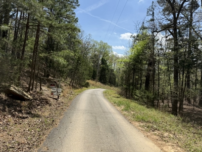 White River Lot near Batesville Arkansas in a Rural Setting - image 46