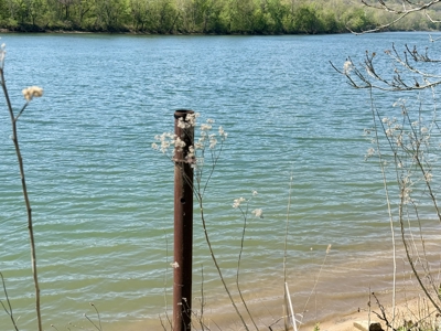 White River Lot near Batesville Arkansas in a Rural Setting - image 16