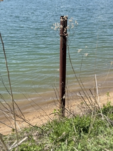 White River Lot near Batesville Arkansas in a Rural Setting - image 15