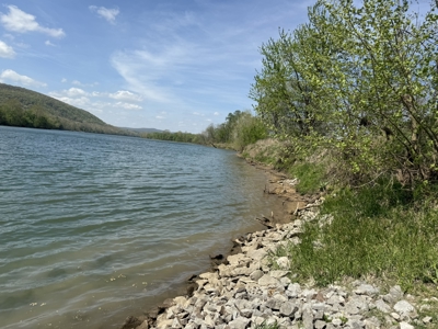 White River Lot near Batesville Arkansas in a Rural Setting - image 33
