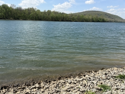 White River Lot near Batesville Arkansas in a Rural Setting - image 31