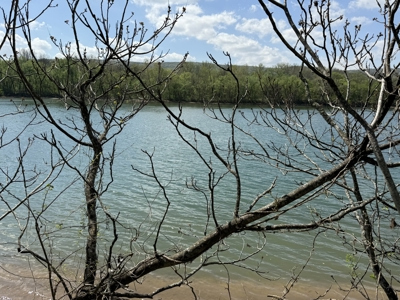 White River Lot near Batesville Arkansas in a Rural Setting - image 6