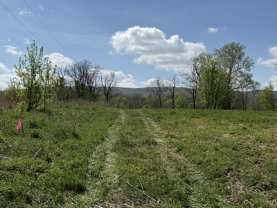 White River Lot near Batesville Arkansas in a Rural Setting - image 27