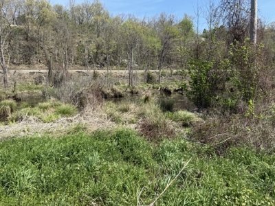 White River Lot near Batesville Arkansas in a Rural Setting - image 22
