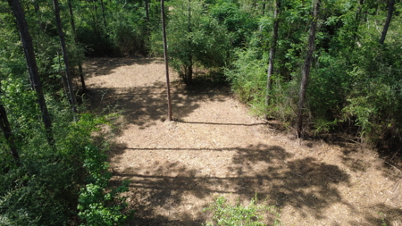 3.5 Acre Homesite in Geneva County Alabama - image 19