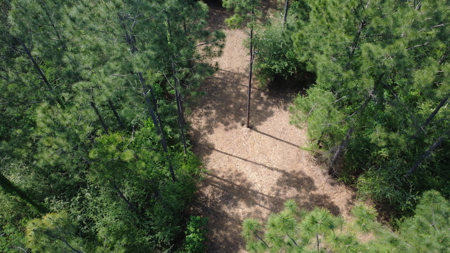 3.5 Acre Homesite in Geneva County Alabama - image 18