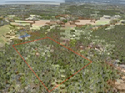 3.5 Acre Homesite in Geneva County Alabama - image 11