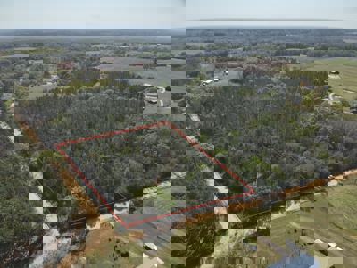 3.5 Acre Homesite in Geneva County Alabama - image 13