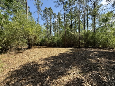 3.5 Acre Homesite in Geneva County Alabama - image 15