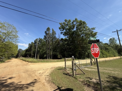 3.5 Acre Homesite in Geneva County Alabama - image 9