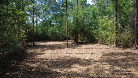 3.5 Acre Homesite in Geneva County Alabama - image 3