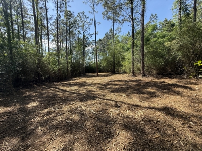 3.5 Acre Homesite in Geneva County Alabama - image 14