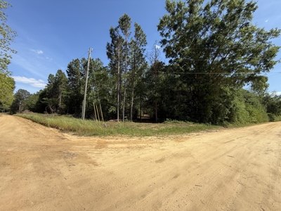 3.5 Acre Homesite in Geneva County Alabama - image 8