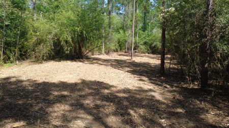 3.5 Acre Homesite in Geneva County Alabama - image 6