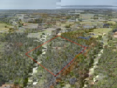 3.5 Acre Homesite in Geneva County Alabama - image 10