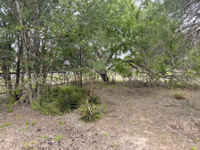 .42 Acre Tract with Hwy 281 Access, Residential or Commercial - image 3