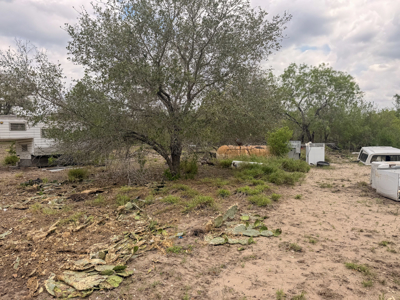 .42 Acre Tract with Hwy 281 Access, Residential or Commercial - image 4