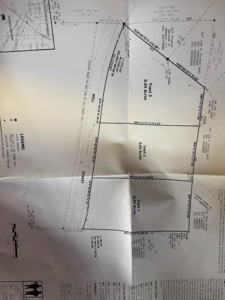 Vacant Lot in the Heart of Willow Springs, MO for Sale - image 2