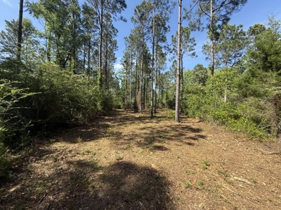 8.28 Acre Homesite in Geneva County, Alabama. - image 8