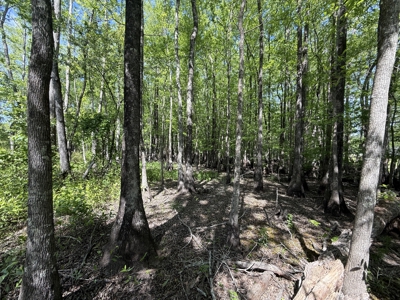 8.28 Acre Homesite in Geneva County, Alabama. - image 17