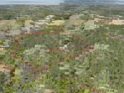 8.28 Acre Homesite in Geneva County, Alabama. - image 3