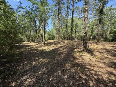 8.28 Acre Homesite in Geneva County, Alabama. - image 12