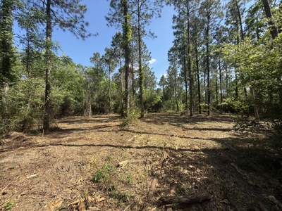8.28 Acre Homesite in Geneva County, Alabama. - image 10