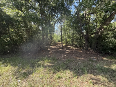 8.28 Acre Homesite in Geneva County, Alabama. - image 7