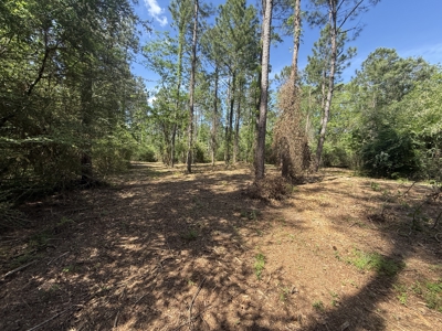8.28 Acre Homesite in Geneva County, Alabama. - image 13
