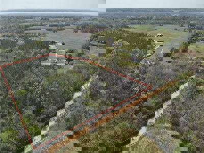 8.28 Acre Homesite in Geneva County, Alabama. - image 2