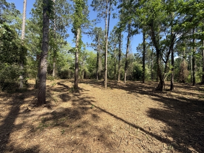 8.28 Acre Homesite in Geneva County, Alabama. - image 11